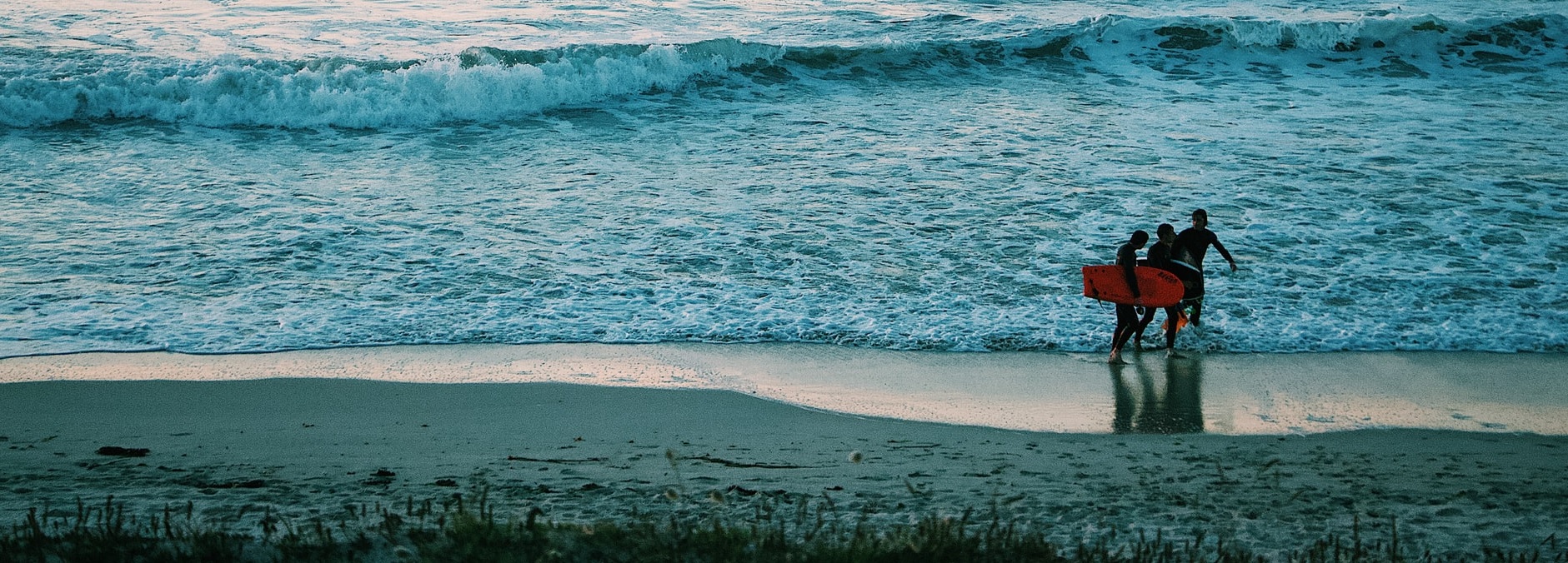 Image Alt